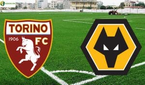 Soi kèo tỷ số nhà cái trận Torino vs Wolves