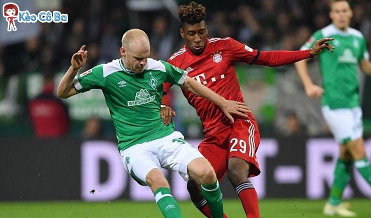 Soi kèo tỷ số bóng đá trận Bayern Munich vs Werder Bremen, 21/11/2020 Soi kèo tỷ số bóng đá trận Bayern Munich vs Werder Bremen, 21/11/2020